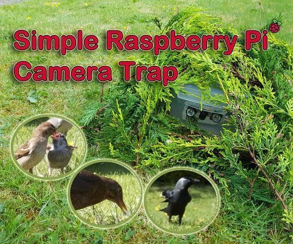 Simple Raspberry Pi Camera Trap Made From a Food Container
