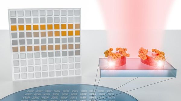 A nanotech sensor turns molecular fingerprints into bar codes