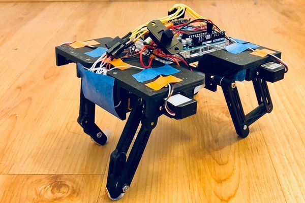 How to build a robot that mimics the moves of animals - and why you'd want to