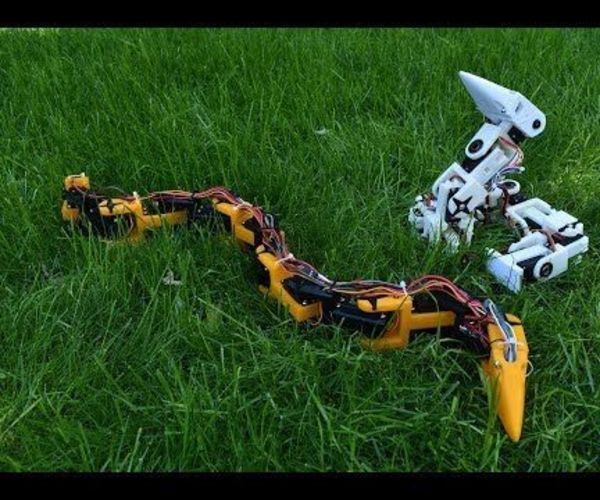 Bioinspired Robotic Snake