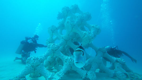 World’s Largest 3D Printed Coral Reef Installed At Maldives Island Resort