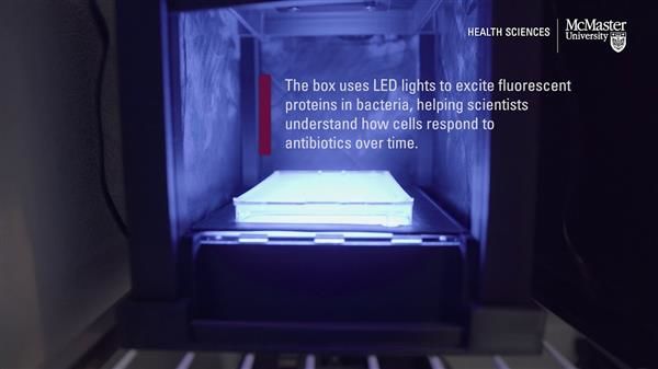 Changing the way we search for antibiotics - with a $200, 3D-printed box