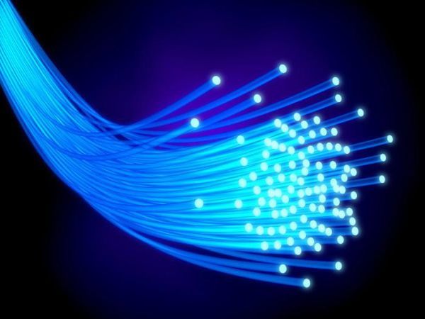 Scientists reveal protection of optical fiber against biomolecules