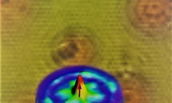 Scientists discover a 'tuneable' novel quantum state of matter