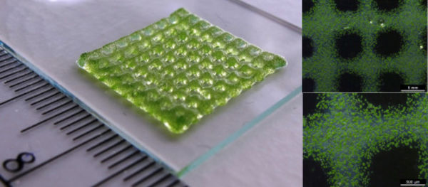 3D bioprinting of living structures with built-in chemical sensors