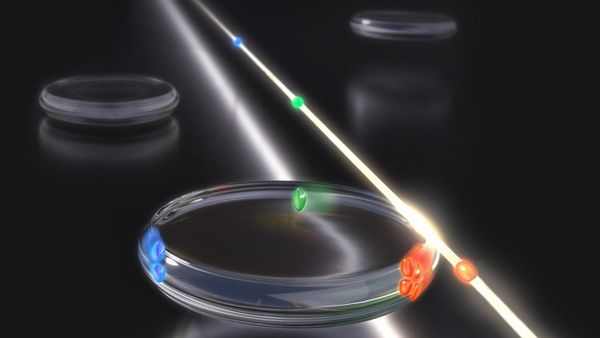 Microresonators offer a simpler approach to sensing with light pulses