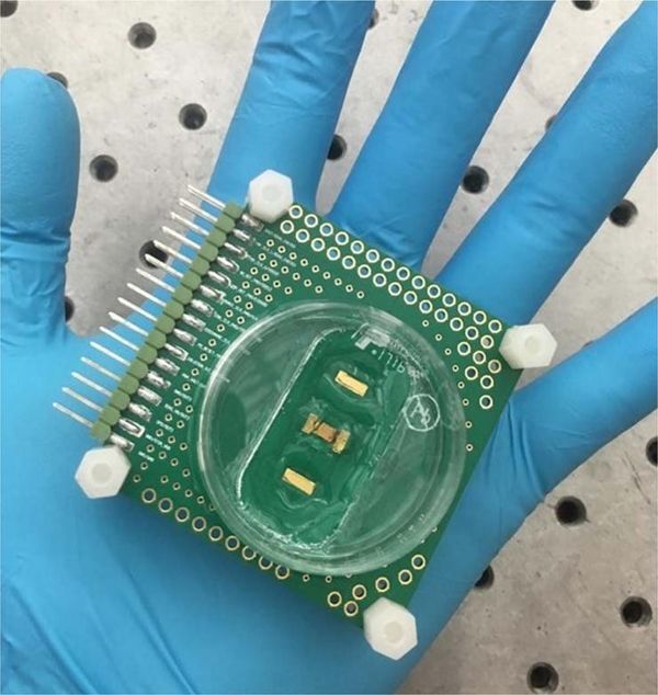 New Chip Measures Multiple Cellular Responses to Speed Drug Discovery