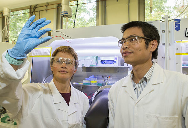 New efficiency record for low-cost solar cell