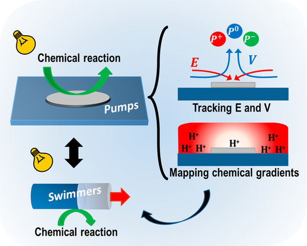 Micropumps as a platform for understanding chemically propelled micromotors