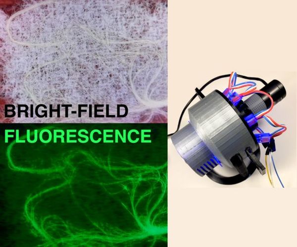 Low-cost Fluorescence and Brightfield Microscopes