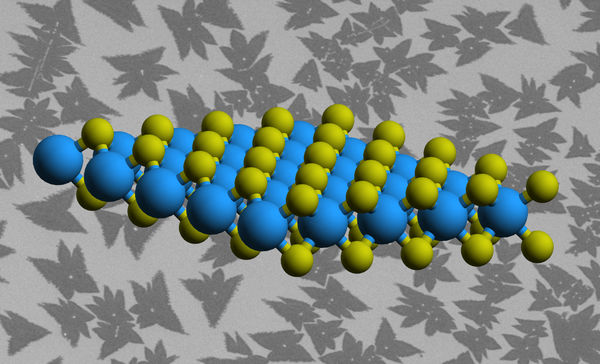 Scientists Take a Deep Dive Into the Imperfect World of 2D Materials