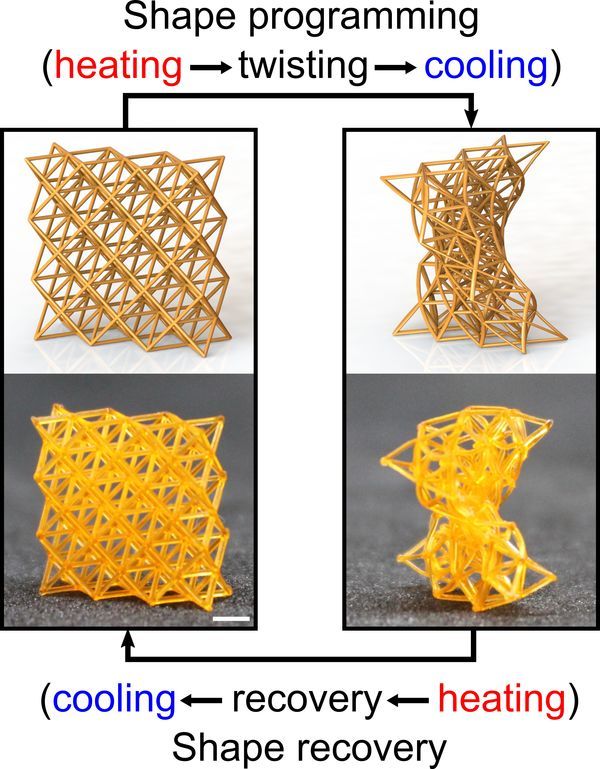 4D-Printed Materials Can Be Stiff as Wood or Soft as Sponge