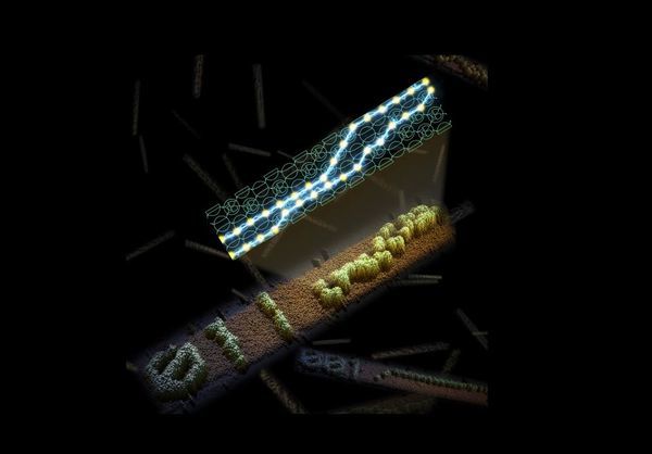 Computer Scientists Create Programmable Self-Assembling DNA