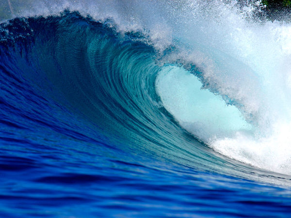 A low-cost, durable device to harness wave energy