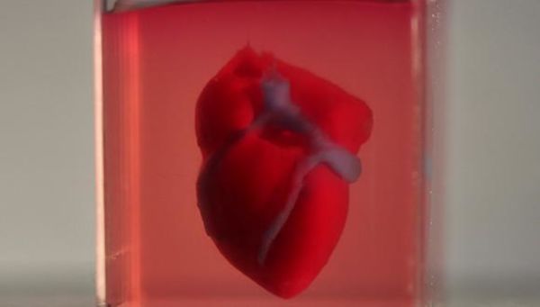 TAU Scientists Print First 3D Heart Using Patient's Own Cells and Materials
