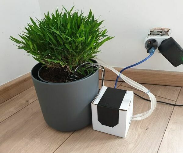 Automatic Plant Watering