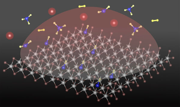 Adding a carbon atom transforms 2D semiconducting material