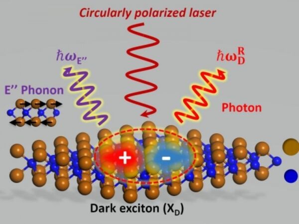 Manipulating Light-Matter Interaction Unlocks Properties for Quantum Information Storage and Computing