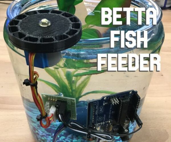 Betta Fish Feeder