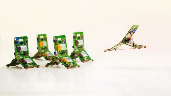 Robot-ants that can jump, communicate and work together