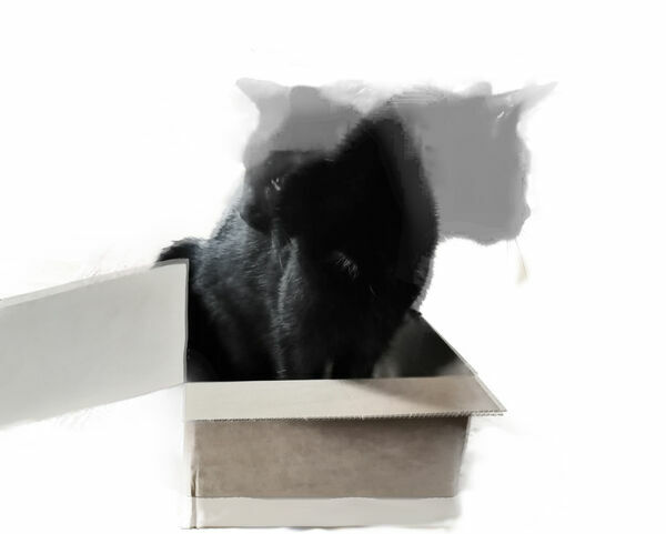 Schrödinger's Cat with 20 Qubits