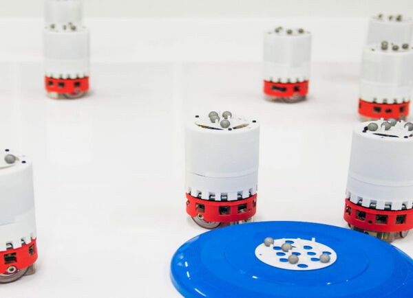 Inspired from nature – robots can now learn to swarm on the go