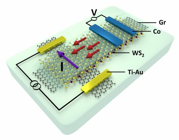 All-electronic two-dimensional spin transistors