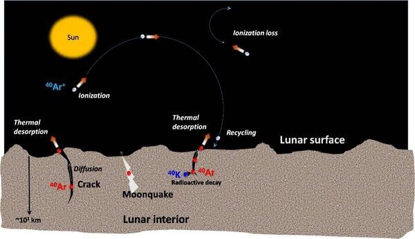 Detection of Argon-40 in the lunar exosphere