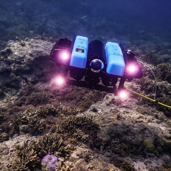 New monitoring technique lets your Remotely Operated Device do the snorkelling