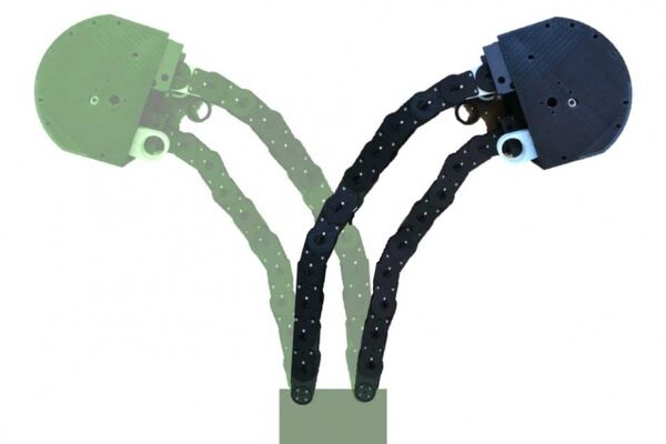 Flexible yet sturdy robot is designed to “grow” like a plant