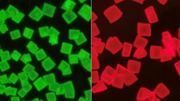 New crystal structure improves stability, safety of hybrid perovskite materials