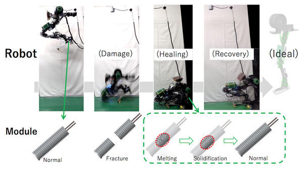Robot With Liquid Metal Tendons Can Heal Itself