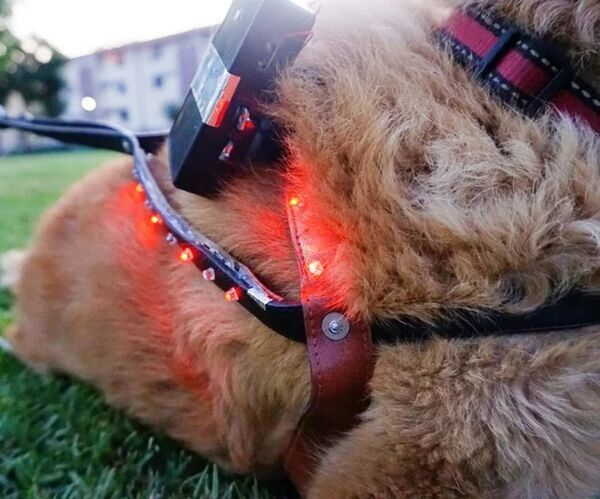 LED Distance Indicator Dog Harness