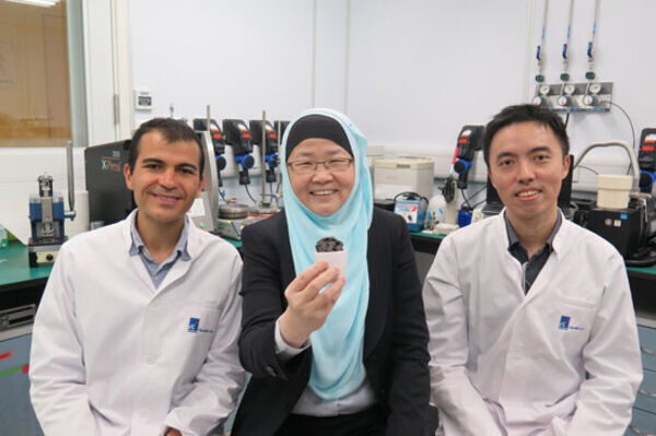 Safer high-performing batteries with NanoBio Lab’s ‘cupcake’ electrolyte