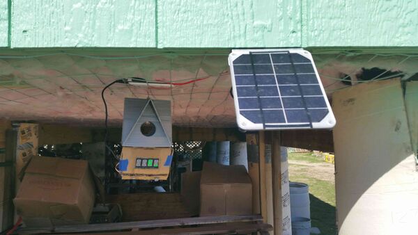 Birdhouse with Solar-Powered Weather Station