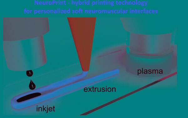 Scientists developed a technology for printing customised neuroprostheses on a 3D bioprinter