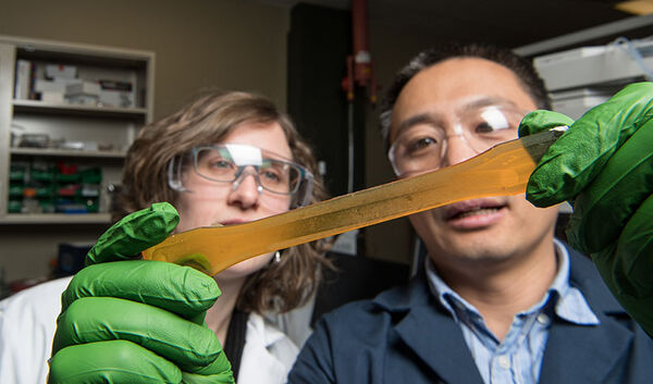 Scientists Offer Companies a Novel Chemistry for Greener Polyurethane