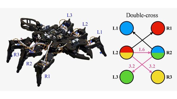 ‘Chaotic’ Way to Create Insectlike Gaits for Robots