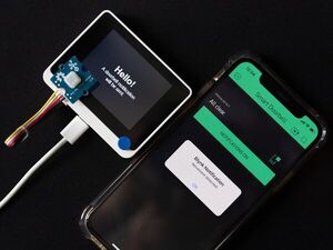 Wio Terminal: Arduino Smart Doorbell