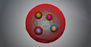 LHCb observes four new tetraquarks