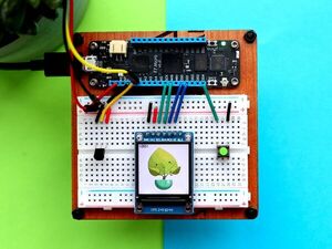 Build Your Own Plant Monitor Using Meadow