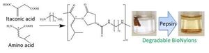 Pepsin-Degradable Plastics of BioNylons from Itaconic and Amino Acids