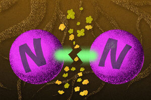 How metals work together to weaken hardy nitrogen-nitrogen bonds