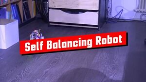 Inside an Autonomous Self Balancing Robot