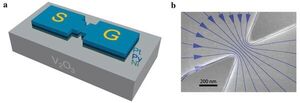 Scientists Invent a New Information Storage and Processing Device
