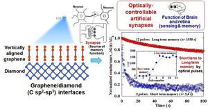 Towards next-gen computers: Mimicking brain functions with graphene-diamond junctions