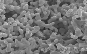 Polymer Coating Accelerates Fuel Production