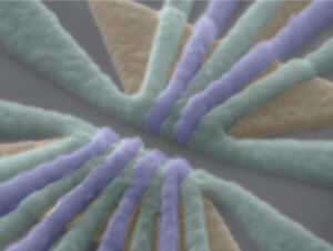 Quantum entanglement of three spin qubits demonstrated in silicon
