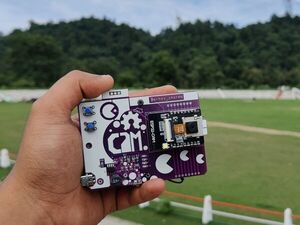 Dumb but Great Point and Shoot Camera with ESP32 CAM