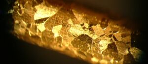 Non-toxic technology extracts more gold from ore